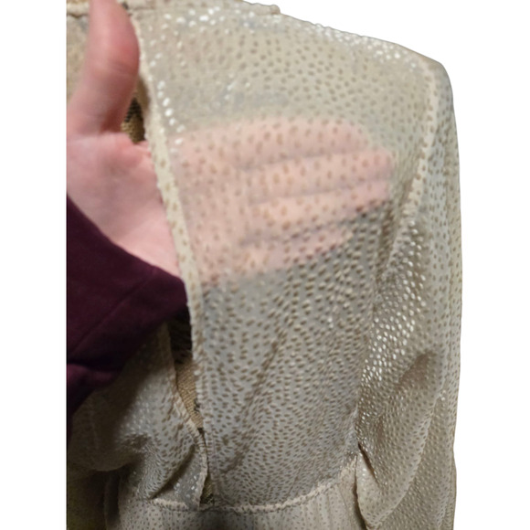 H&M cream sheer polkadot flowy dress with lining, size xs - Picture 3 of 5